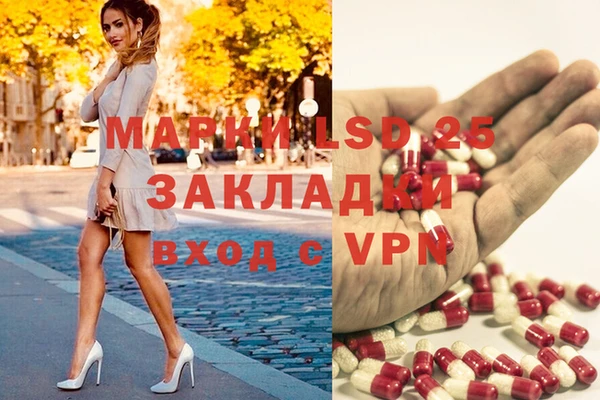 хмурый Инта