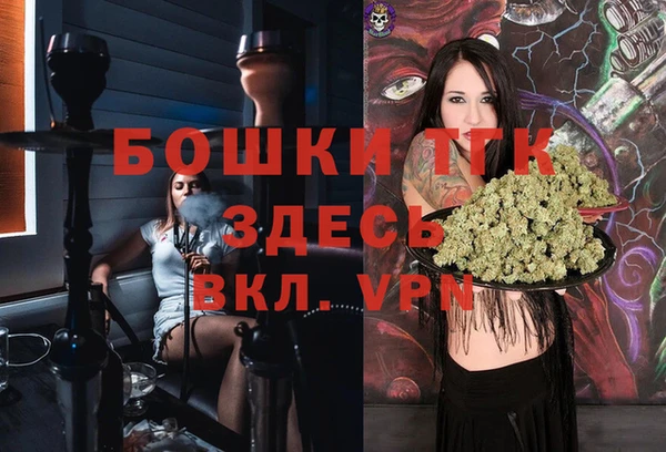 хмурый Инта