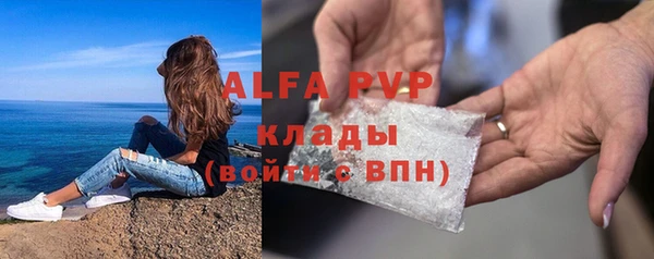 хмурый Инта