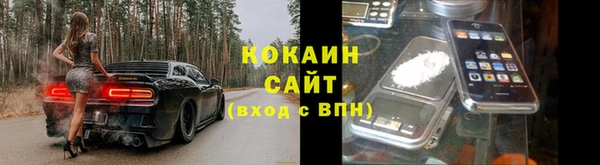 хмурый Инта