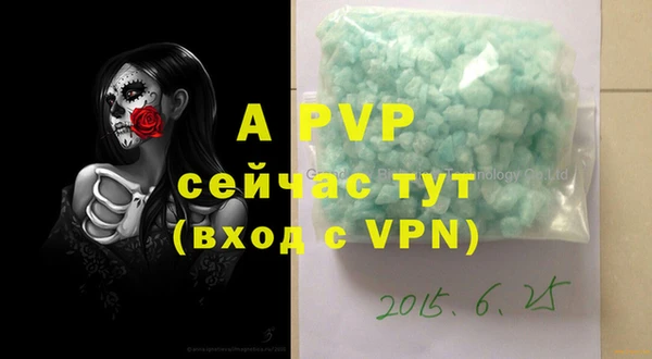хмурый Инта