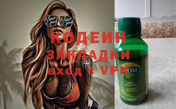 хмурый Инта