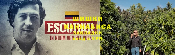 хмурый Инта