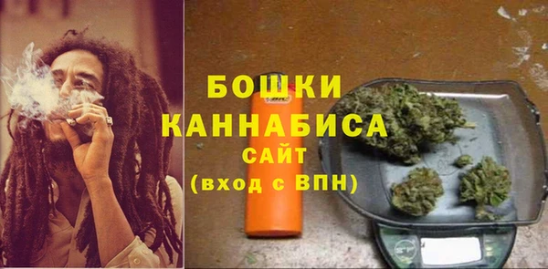 хмурый Инта
