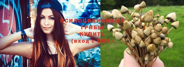 хмурый Инта