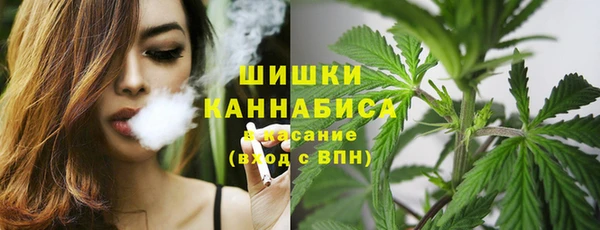 хмурый Инта
