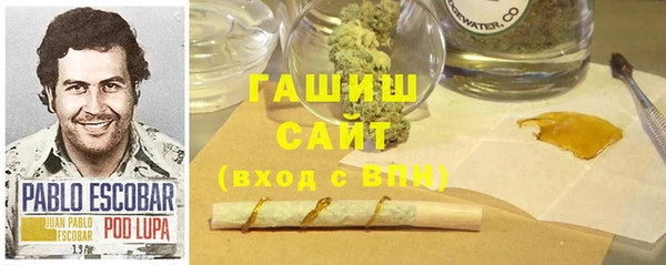 хмурый Инта