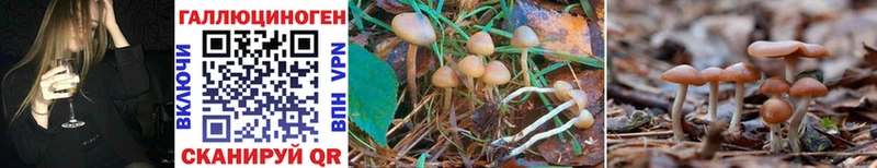 Галлюциногенные грибы Magic Shrooms магазин Камень-на-Оби