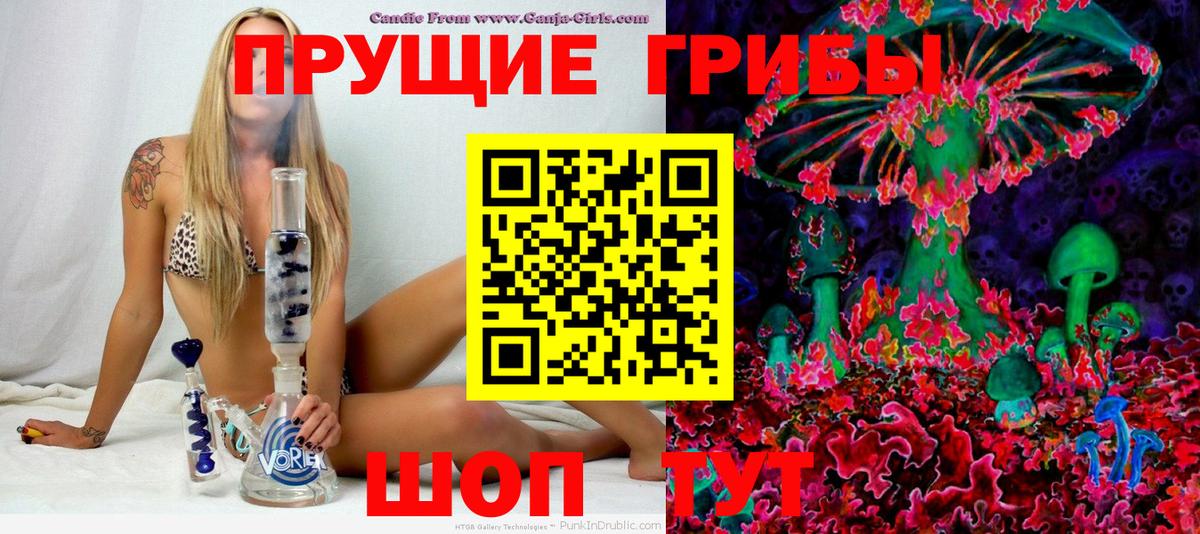 Псилоцибиновые грибы Cubensis  Вход с VPN  Камень-на-Оби  Псилоцибиновые грибы прущие грибы 